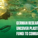 German Researchers Have Discovered Plastic-eating Mushrooms To Deal With Garbage