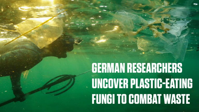 German Researchers Have Discovered Plastic-eating Mushrooms To Deal With Garbage