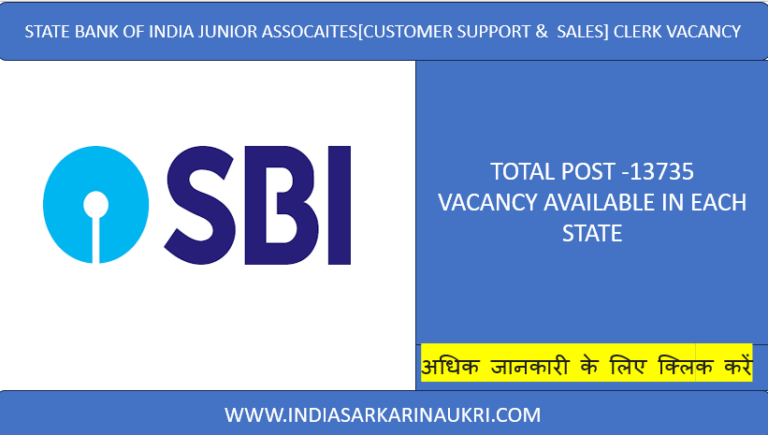 SBI Junior Associates ( Clerk ) Recruitment 2024 Pre Exam Notice Out