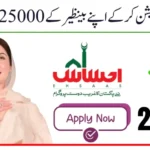 8171 Web Portal 25000 Check Online | How to Earn Money Online.